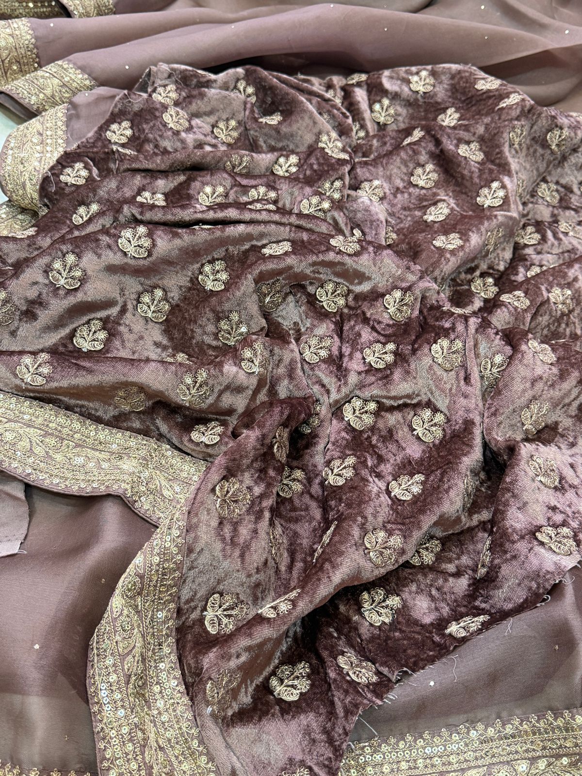 Sabyasachi-Inspired Organza Saree with Embroidery Border