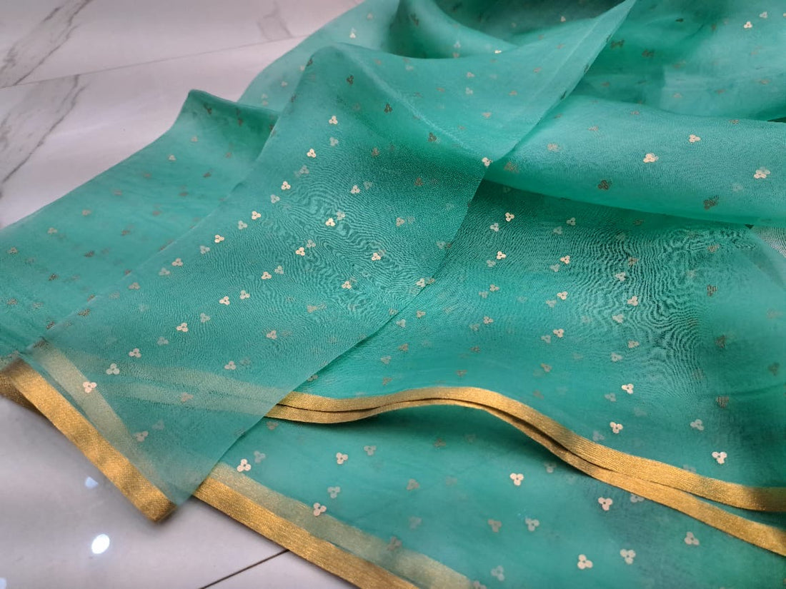 Elegant Pure Handloom Resham Silk Saree With All-Over Sequins Work