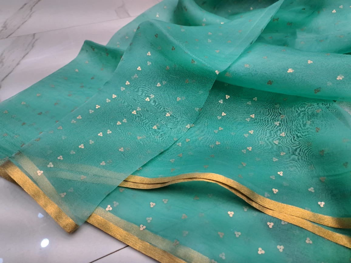Elegant Pure Handloom Resham Silk Saree With All-Over Sequins Work