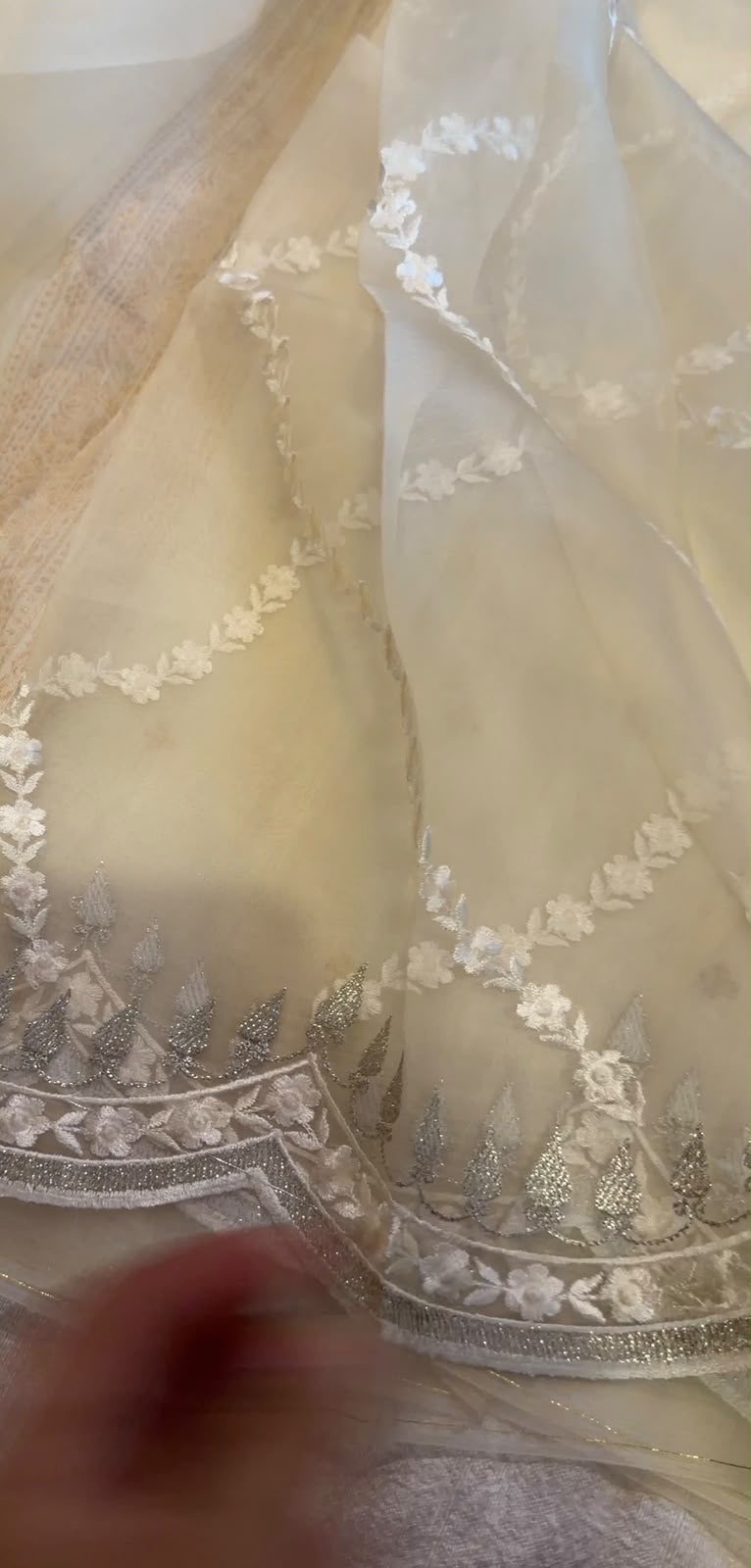 Pure Organza Silk Saree With Scallop Border