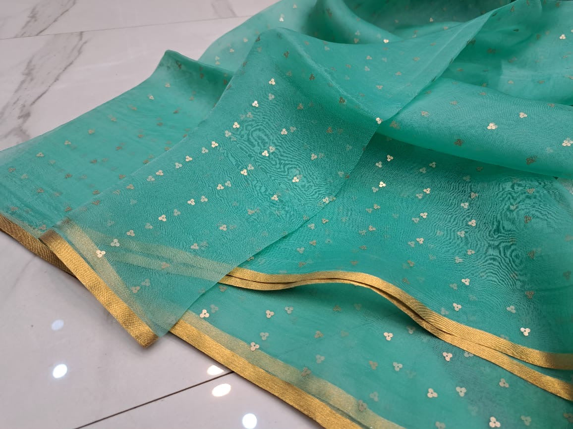 Elegant Pure Handloom Resham Silk Saree With All-Over Sequins Work