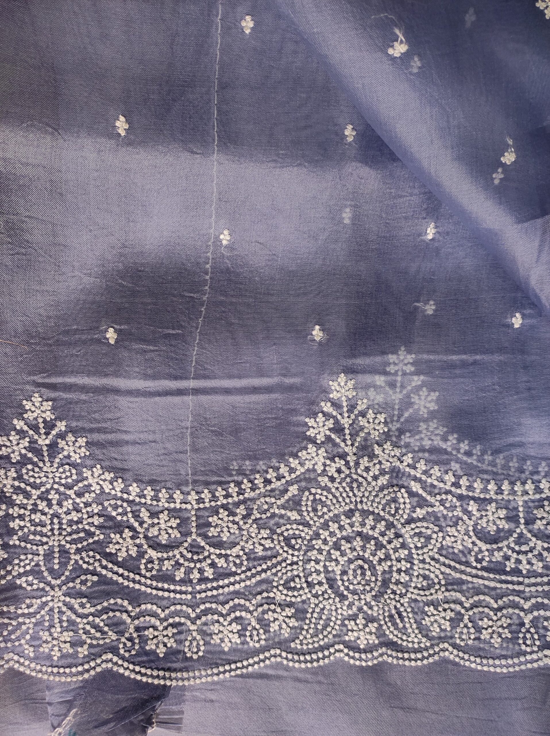Pure Organza Silk Saree With Pearl Style Scallop Edging Embroidery Work All Over