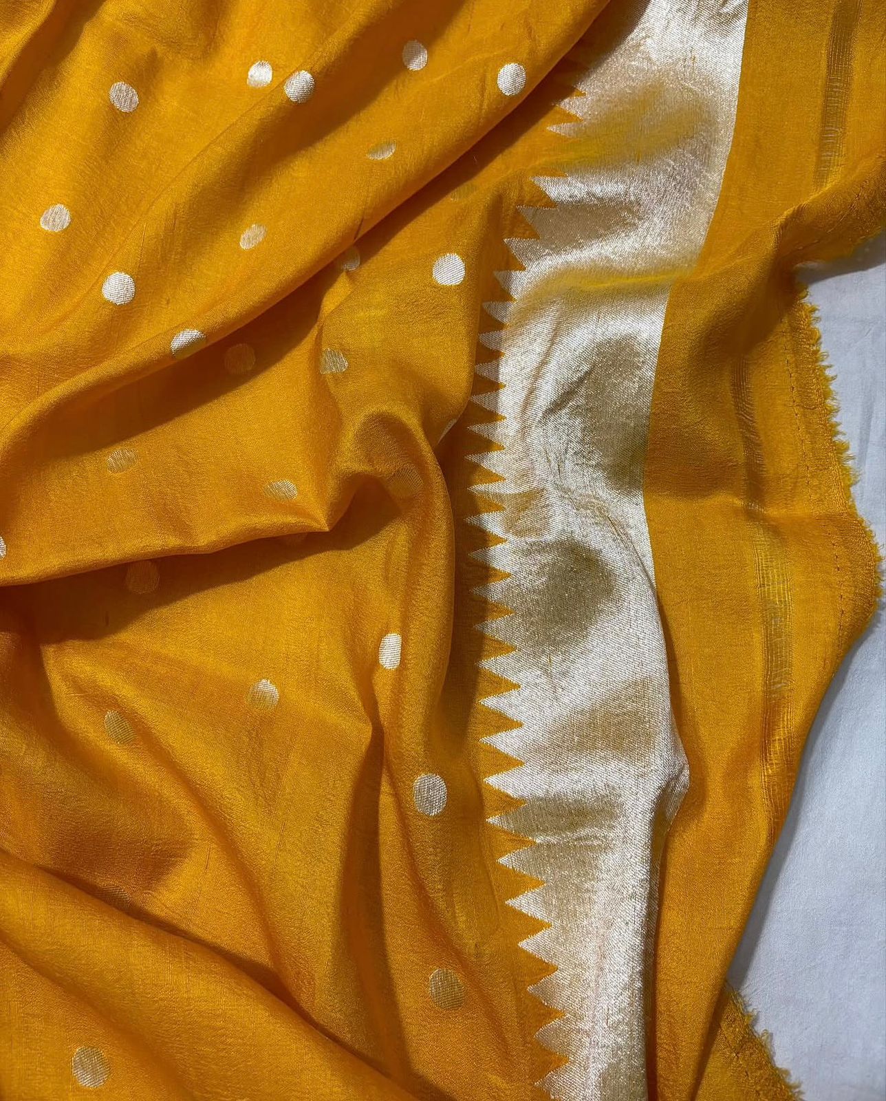 Tussar Georgette Handloom Banarasi Saree - Meenakari