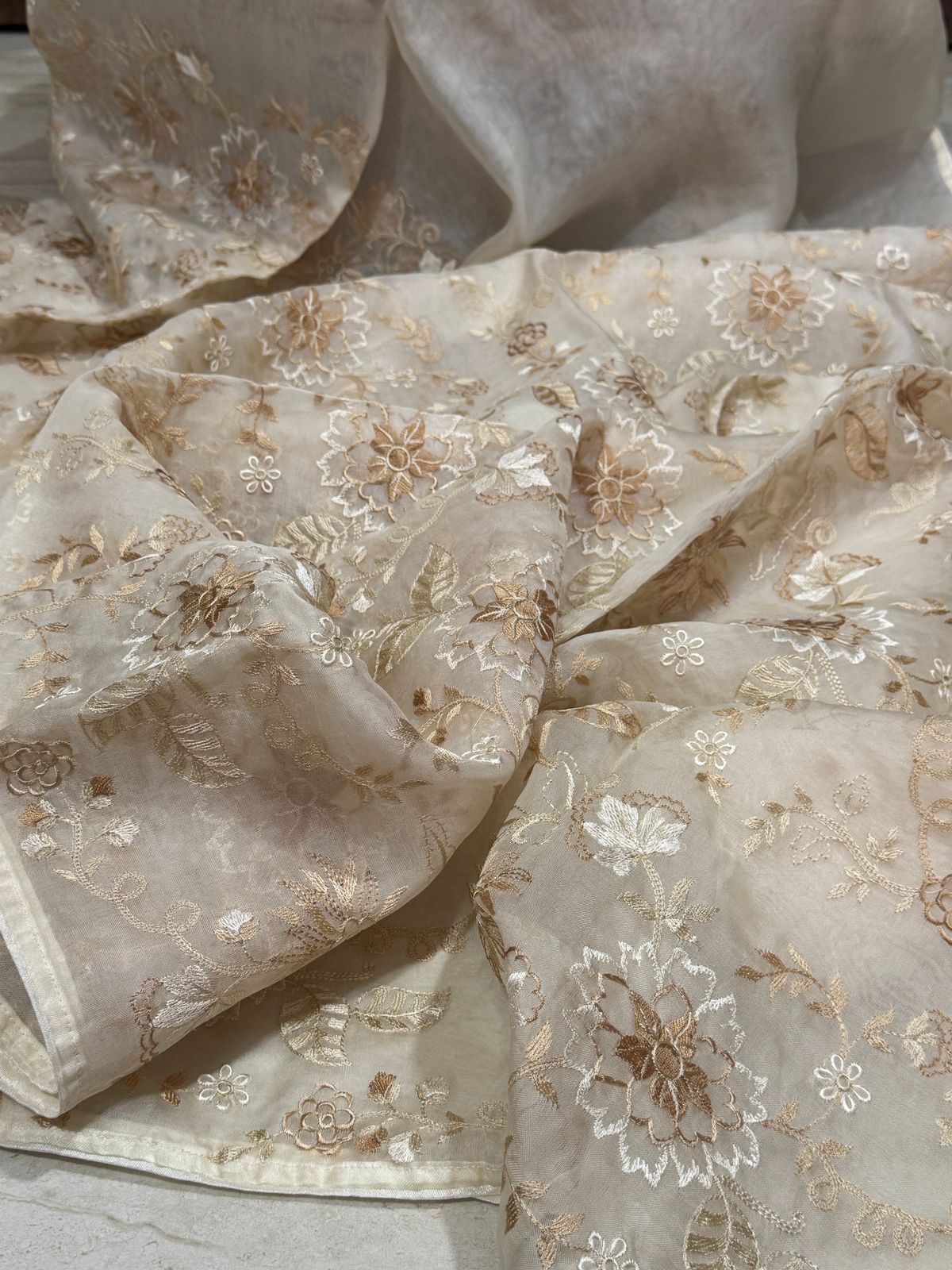 Pure Organza Saree With Embroidery All Over