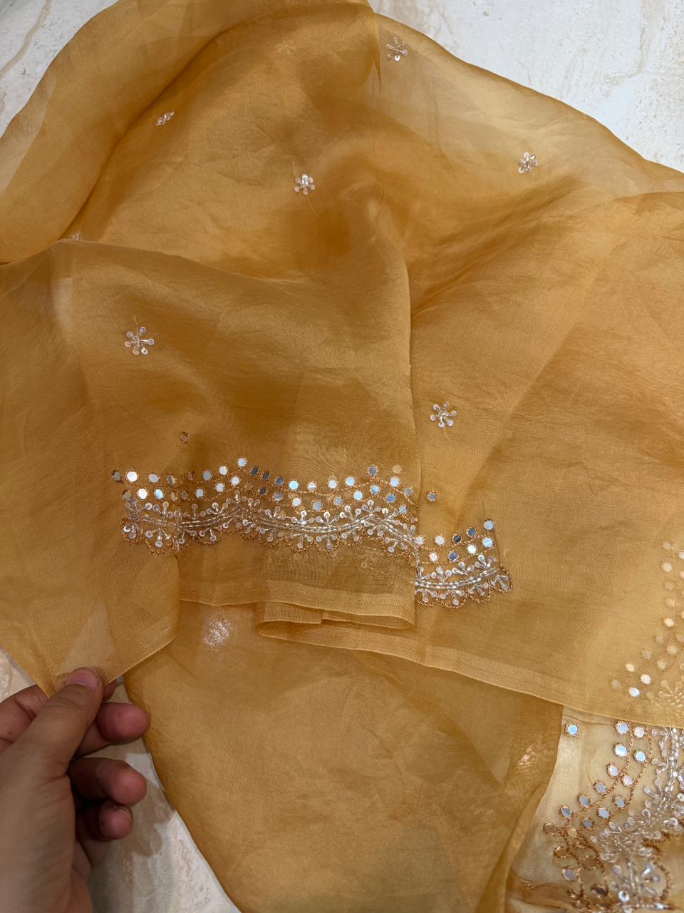Pure Organza Saree – Subtle Shine, Timeless Grace