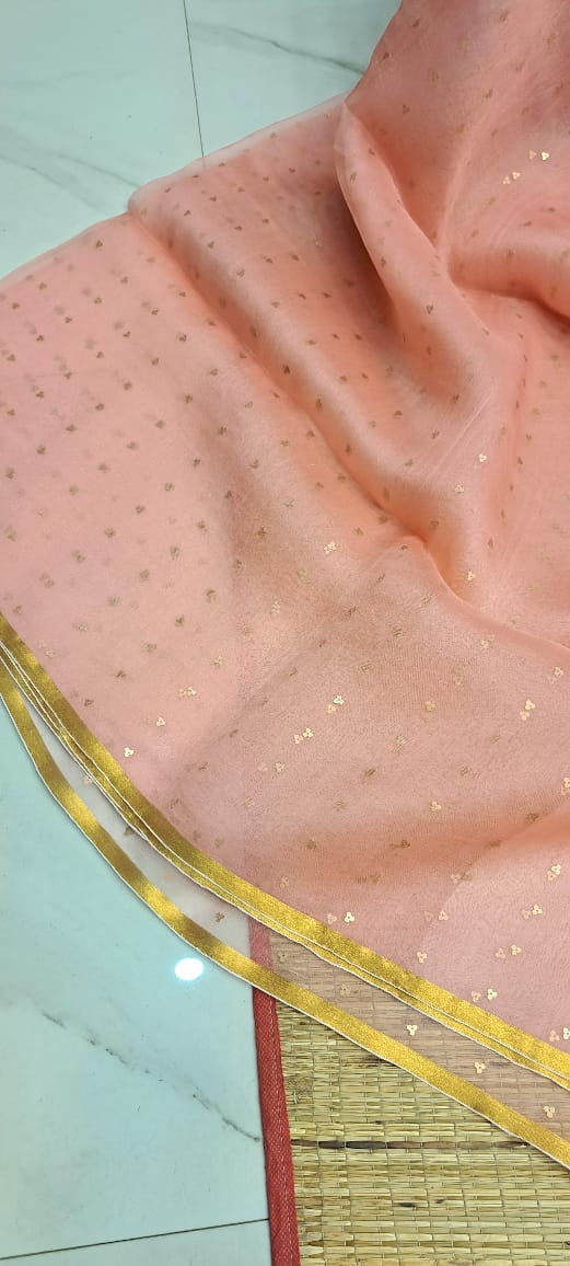 Elegant Pure Handloom Resham Silk Saree With All-Over Sequins Work
