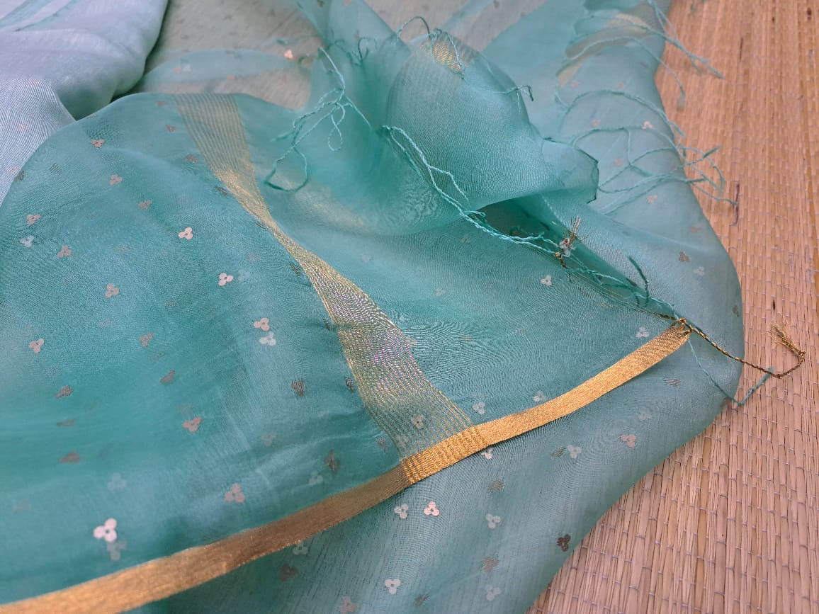 Elegant Pure Handloom Resham Silk Saree With All-Over Sequins Work