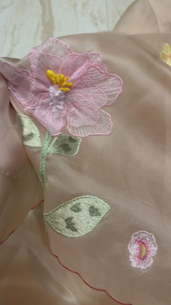 Organza Silk Saree With Appliqué Work With Embroidery